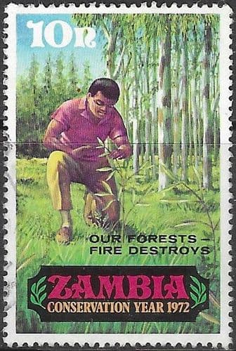 Zambia 1972 Conservation Year (2nd issue) SG 173 Fine Used