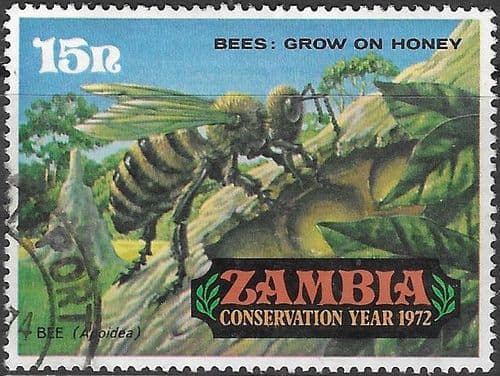 Zambia 1972 Conservation Year (3rd issue) SG 179 Fine Used