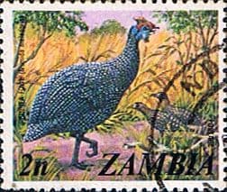 Zambia 1975 Helmet Guineafowl SG 227 Fine Used