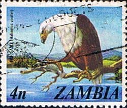 Zambia 1975 SG 229 African Fish Eagle Fine Used