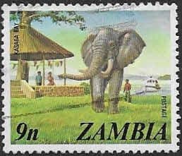 Zambia 1975 SG 232 African Elephant Fine Used