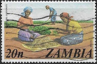 Zambia 1975 SG 235 Harvesting Groundnuts Fine Used