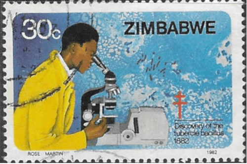 Zimbabwe 1982 Dr. Robert Koch's Discovery of Tubercle Bacillus SG 621 Fine Used