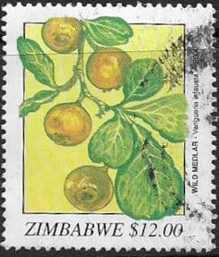 Zimbabwe 2000 Wild Fruits SG 1042 Fine Used