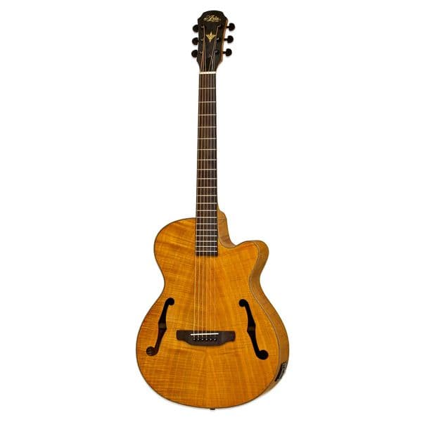 Aria FET F2 Electro Acoustic Guitar