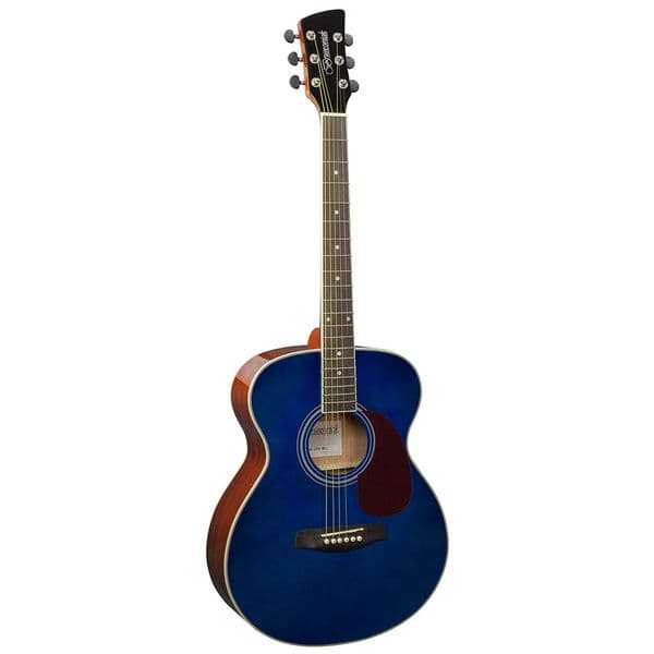 Brunswick BF200 Folk Size Acoustic Guitar