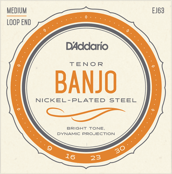 D'Addario 4-string Tenor Banjo Strings - Medium