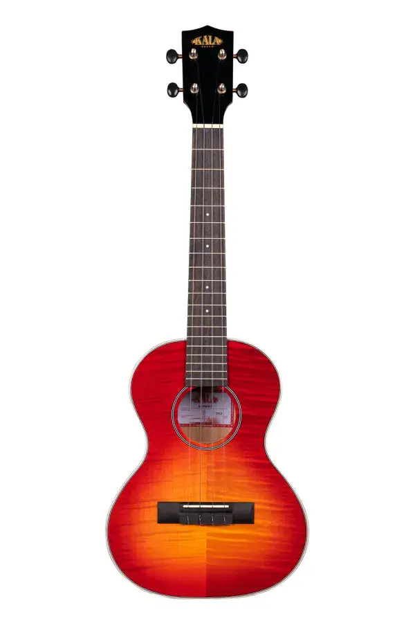 Kala KA-FMCB Concert Ukulele
