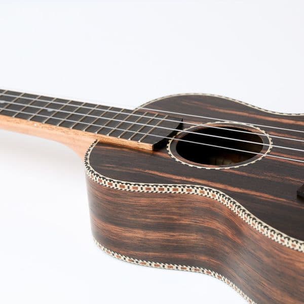 Snail Ebony Ukulele - Tenor