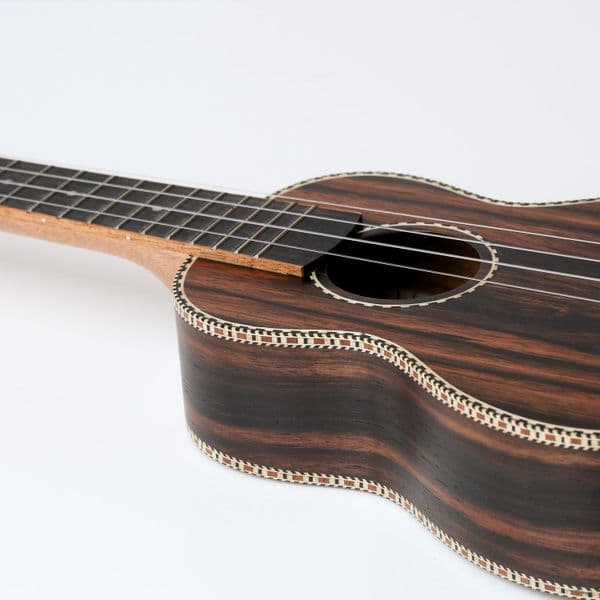 Snail Ebony Ukulele - Soprano