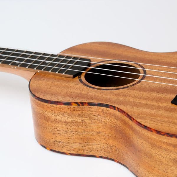 Snail Mahogany Ukulele - Tenor