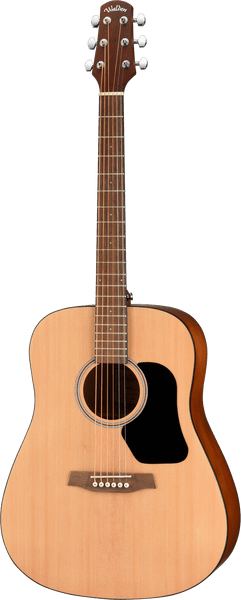 Walden D255 Hawthorne Acoustic Guitar