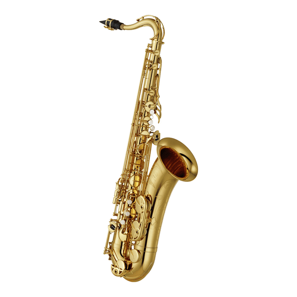 Yamaha YTS-480 Tenor Saxophone Outfit (YTS 480 YTS480)