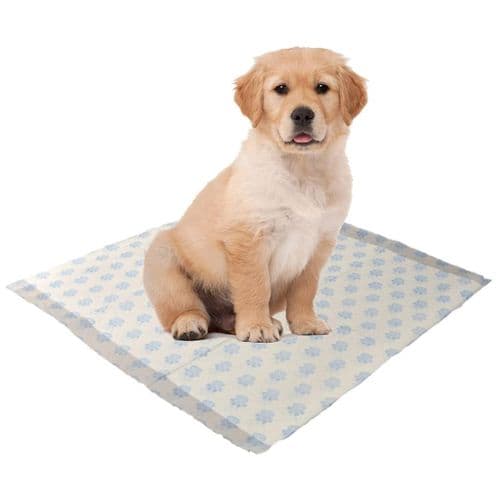 40cm x 50cm Dog & Puppy Toilet Training Leak Proof Pads