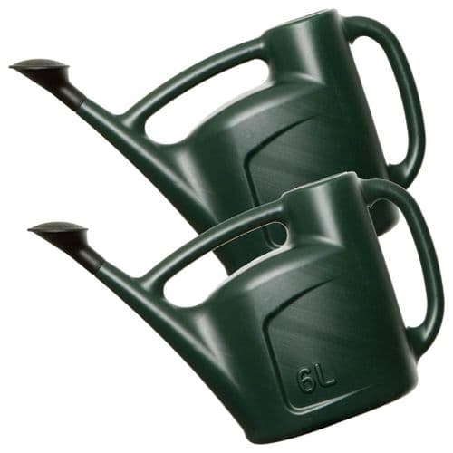 6L Green Garden Watering Can With a Detachable Rose Head Sprinkler & Durable Handle
