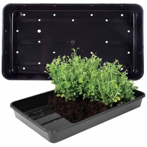Plastic Heavy Duty Seed Trays With Strong Rim For Extra Rigidity