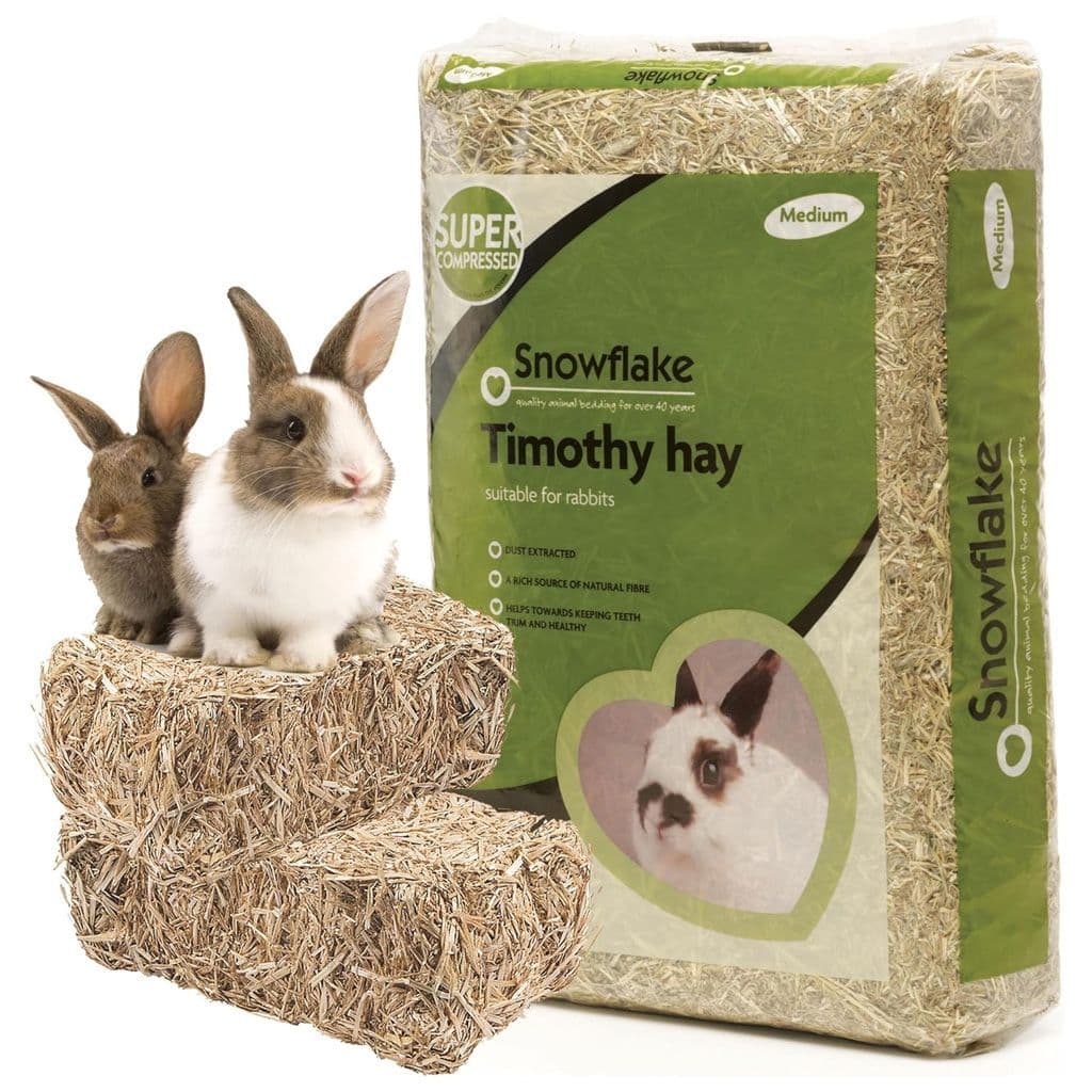 pet is timothy hay good for rabbits