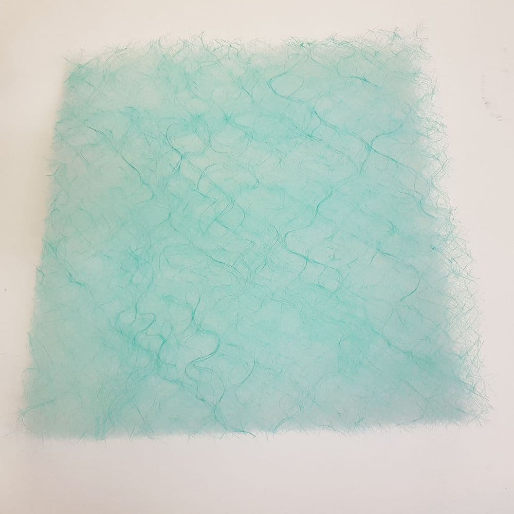 Disposable Filter Pads