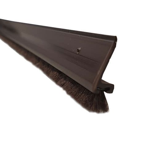 Schlegel Sharkseal PS