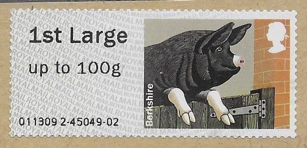 2012 1ST LARGE 'PIGS - BERKSHIRE' FINE USED