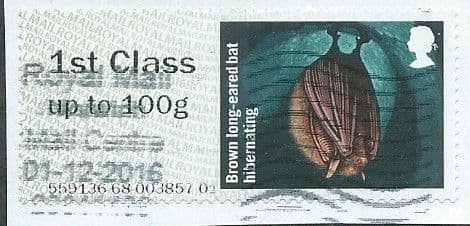 2016 '1ST 'BROWN LONG EARRED BAT' FINE USED