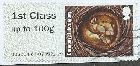2016 '1ST 'DORMOUSE' FINE USED