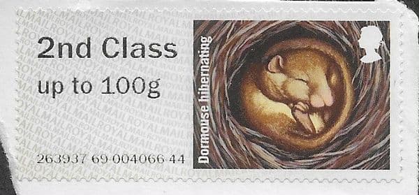 2016 2ND CLASS 'HIBERNATING ANIMALS- BROWN LONG EARRED BAT' (ERROR: GREY BACKGROUND) ON PIECE) FINE