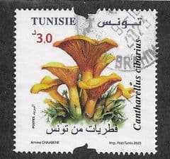 2023 3d 'CANTHARELLUS CIBARIUS' FINE USED