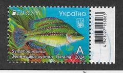 2024 'A'  'EUROPA' FINE USED