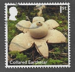 2025 1ST 'UK MUSHROOMS - COLLARED EARTHSTAR' FINE USED