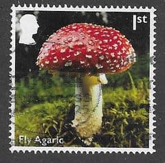 2025 1ST 'UK MUSHROOMS - FLY AGARIC' FINE USED