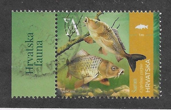 2025 'A' (65c) 'COMMON CARP' (WITH TAB) FINE USED