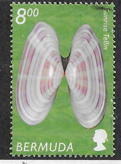 Sone new Bermuda stock added