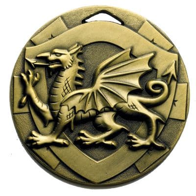 BRONZE 50mm WELSH DRAGON G858 Medal