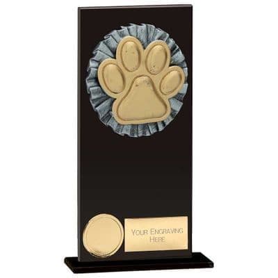 Dog Agility Glass Awards