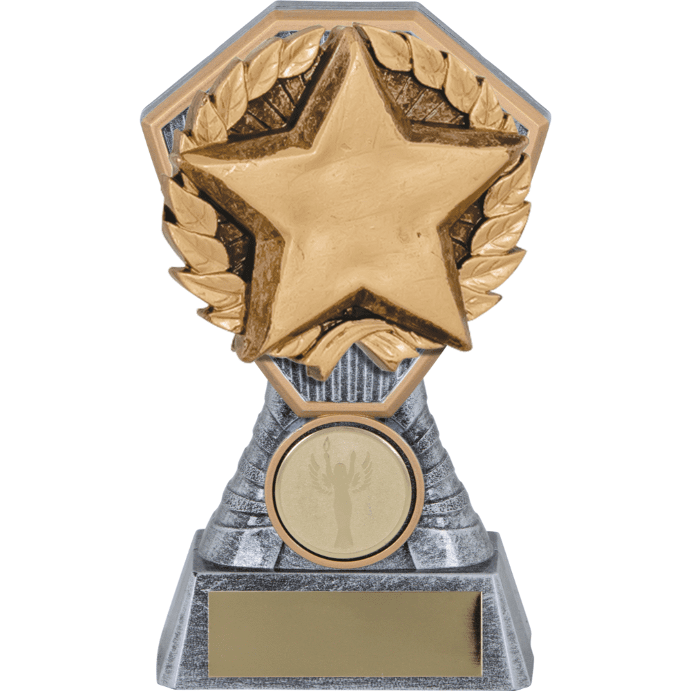 Heavy Composite Generic Star Award Insert in 4 sizes- 130MM