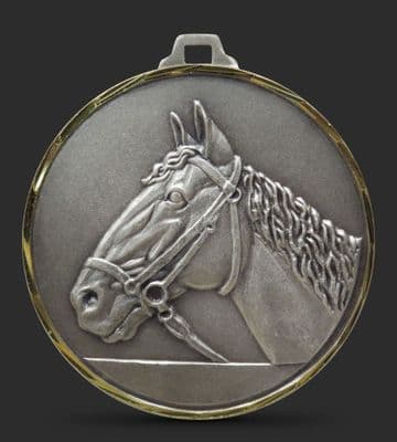 Horse-jumping