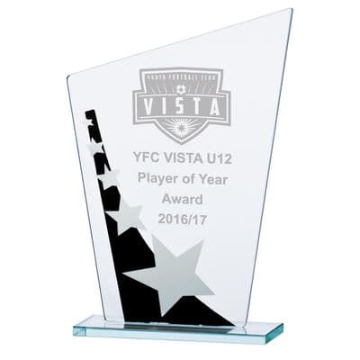 Mega Star Jade Glass Award Black & Silver 205mm including etching