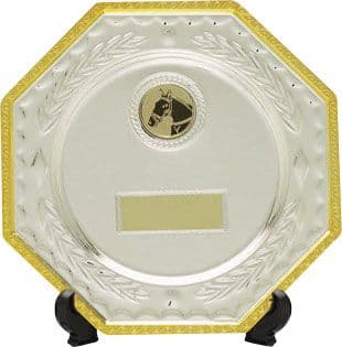 Multi-Sport Silver Salvers with Stand 150mm 836B