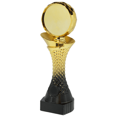 Multi-sport Trophies