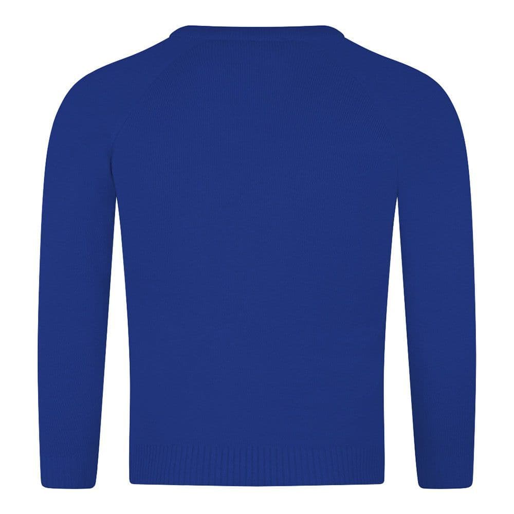 Royal Blue VNeck Knitted Acrylic Jumper