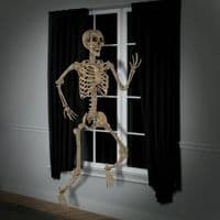 7ft Poseable Skeleton Halloween Decoration Life Size Full Body Bone Prop Indoor