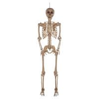 7ft Poseable Skeleton Halloween Decoration Life Size Full Body Bone Prop Indoor