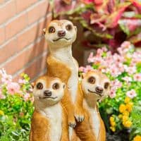 Evergreen Hand-Painted Meerkat Family Garden Statue Resin Outdoor Ornament