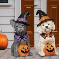 Halloween 26