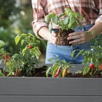 Keter Cortina Elevated Garden Bed 110L Smart Watering Weatherproof Resin