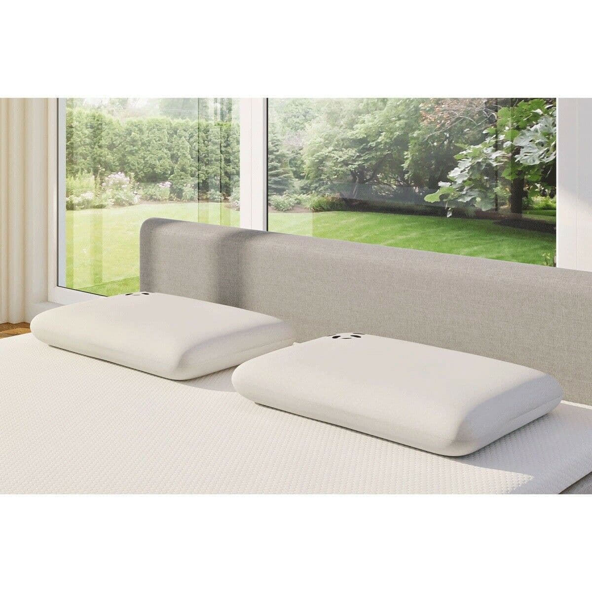 thumbnail interactive-video image 1 of Excelsior Int Bamboo Memory Foam Pillow - King Size Hypoallergenic Luxury Pillow 1 of 6