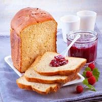 Tefal Pain & Délices Bread Maker PF240E40 with 20 Programs & Yoghurt Kit