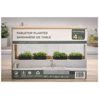 Tierraverde Tabletop Planter 4 Pack 12