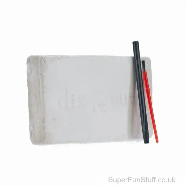 2 In 1 Dinosaur Play Set For Kids - Dino Dig & Paint | 21 Piece Activity Set